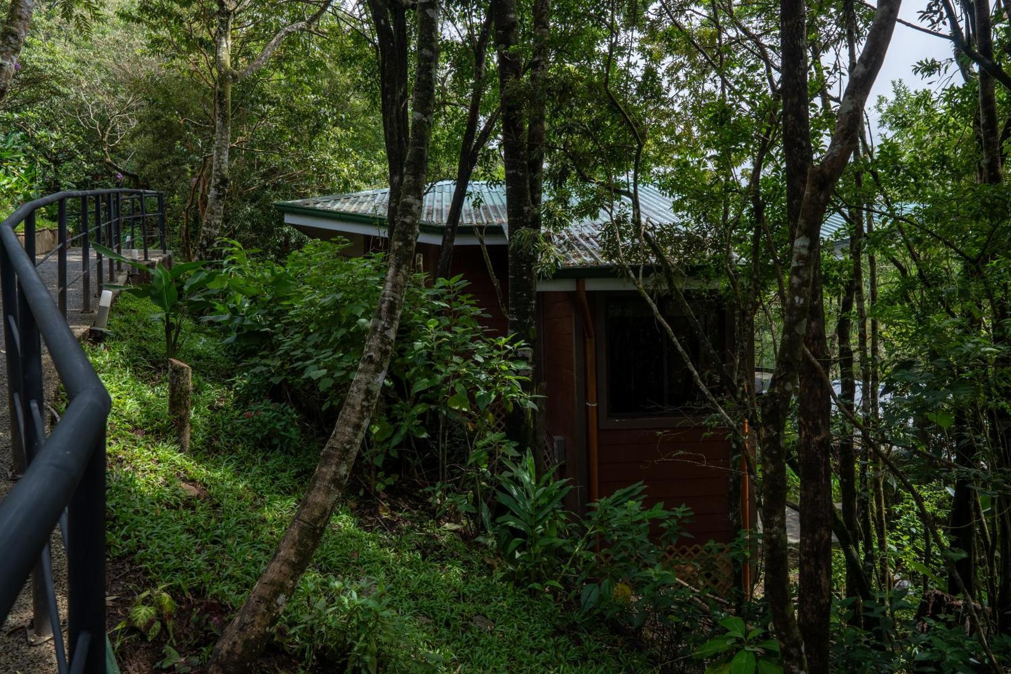 Koora Monteverde A Cloud Forest Hotel By Sandglass Exterior foto